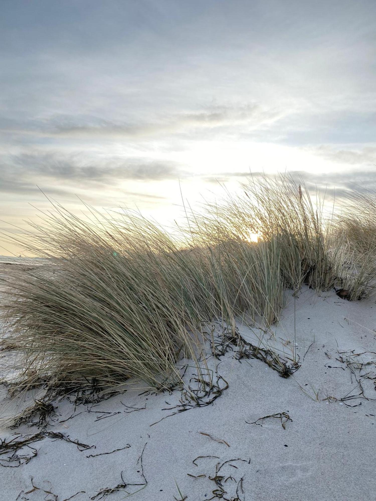 Meehrblick App 215 Apartment Zingst Luaran gambar